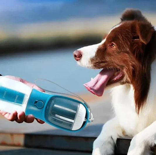 3-in-1 Portable Dog Water Bottle – Travel Hydration System
