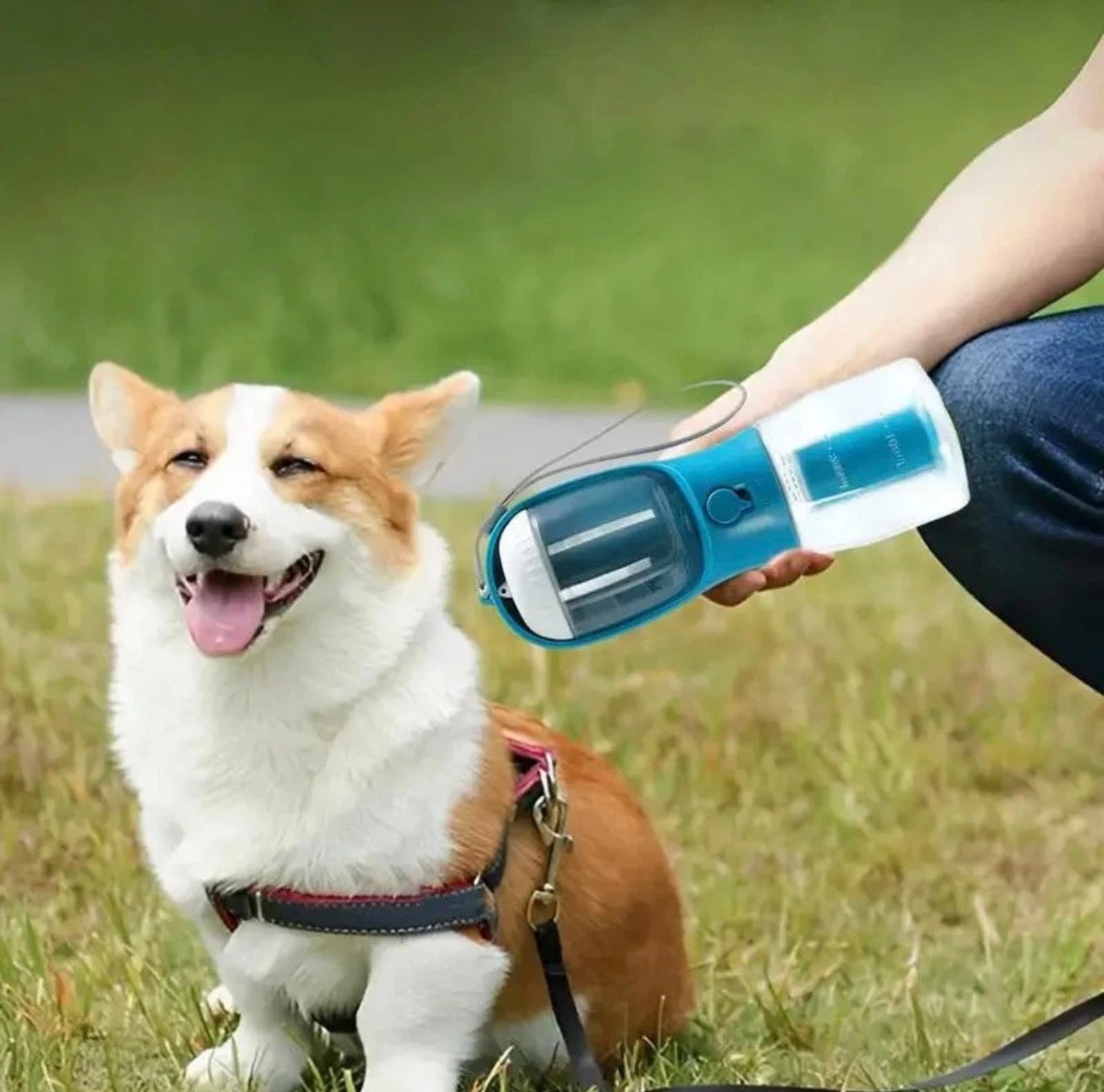 3-in-1 Portable Dog Water Bottle – Travel Hydration System